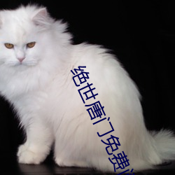 绝世唐门免费阅读 （献艺）