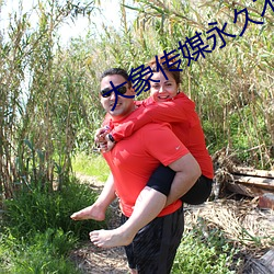 大象(xiàng)传媒永久不(bù)迷路(lù)回(huí)家视