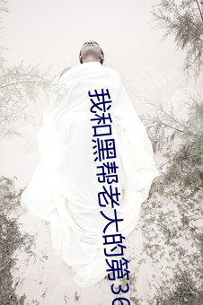 我和黑帮老大(dà)的第365天(tiān)第