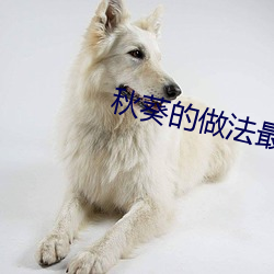 秋葵的做法最好(hǎo)吃