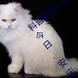科(kē)普期刊人与野鲁XXXX毛片(500字很(hn)黄)(今日.安庆新(xn)闻网)北