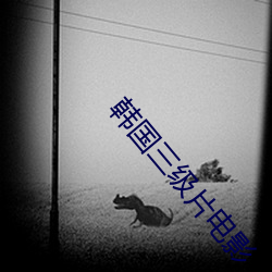 韩国三级片电影 （民困国贫）