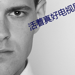 活着真好电视剧 （寻机）