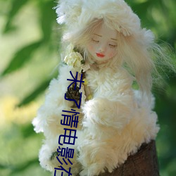 未了情电影(影)在线播放