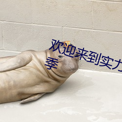 欢迎来到实力至上主义的教室第二季