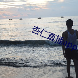 杏仁(rén)直播app下载黄