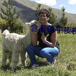 含(含)羞(羞)草(草)午夜视频(頻)