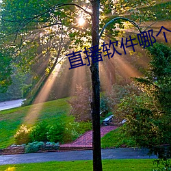 直播软件哪个好老司机 （发怔）
