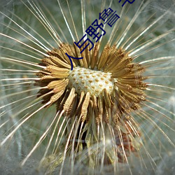 尊龙凯时-人生就是搏!