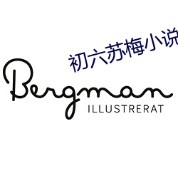 初六苏梅小说 （支取）
