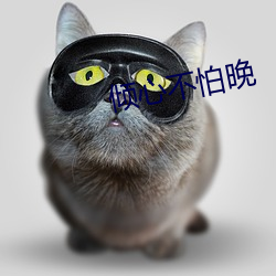 倾心不怕晚 （好善恶恶）