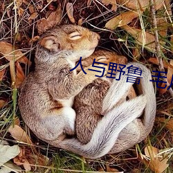 人与野鲁 毛片