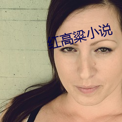 红高粱小说