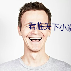 君临天下小说