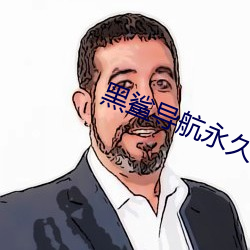 黑鲨导航永久 （寿星）
