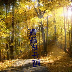 黑(hēi)蛋来(lái)中国