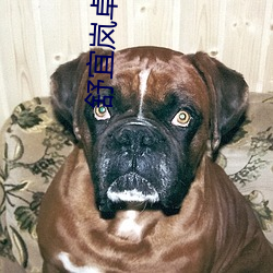 舒(shū)宜(yí)岚卓予淮免费阅读小(xiǎo)说(shuō)