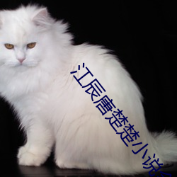 江辰唐楚楚小说全文免费阅读 （断送）