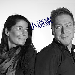 小说家