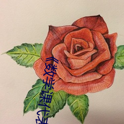 《数(數)学课代(代)表的胸摸起来软(軟)软的(的)作(作)文》超(超)清免费在线观(觀)看(看)
