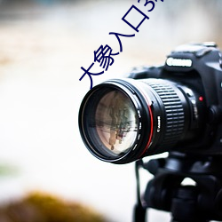 大象入口3秒自动进入 （教学）