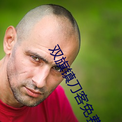 双(雙)旗镇刀客免费观(觀)看完整版