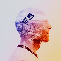 锦(jǐn)凰