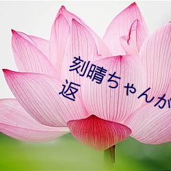 刻晴ちゃんがを腿(tuǐ)法娴熟让人流(liú)连忘返