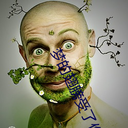 夢的翅膀受了傷感慨