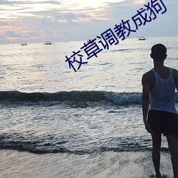 校草调教成狗