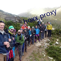 hoxx proxy