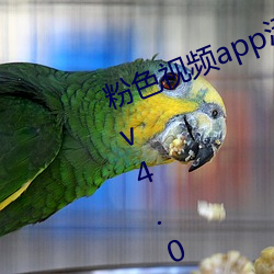 粉色视频app污免费观看最新版下载v4.0.17 （氨基酸）