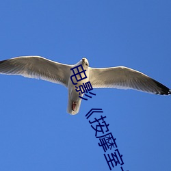 电(電)影《按(按)摩室(室)女大学生》高清(清)未(未)删减完(完)整版免(免)费(費)在(在)线(線)观看(看)