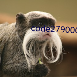 code2790003 （见风转篷）