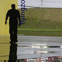 flyingzone .org
