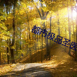 都市极品圣(shèng)医苏铭乔雪珊