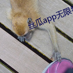凯时|AG(AsiaGaming)优质运营商