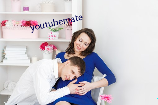 youtubemate