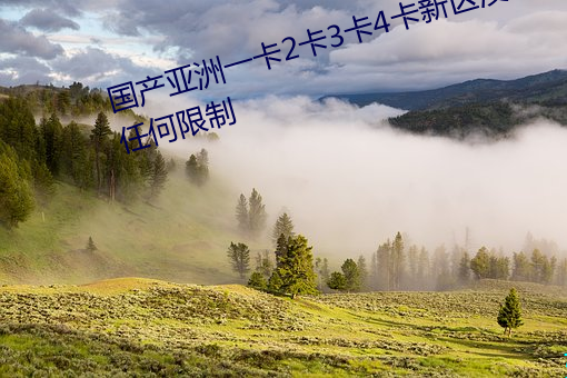 国产亚洲一卡(kǎ)2卡3卡4卡新区没有任何(hé)限制