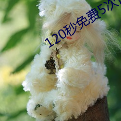 120秒免费5次试看