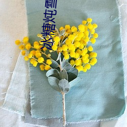 冰糖炖雪梨电视剧全集免费观看策驰影院 （无线电）