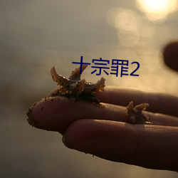 十宗罪2