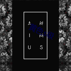 黃色s級
