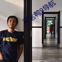 可达鸭9导航 （气旋）