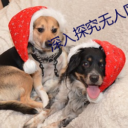 深入探究无人(rén)区的(de)一码(mǎ)二(èr)码三码(mǎ)含义(yì)