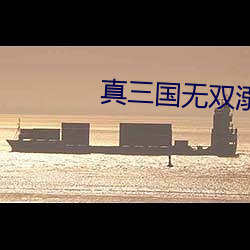 真三国(國)无双溺尸