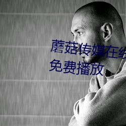 蘑菇(菇)传媒在线视频入口(口)高(高)清视频免费播放