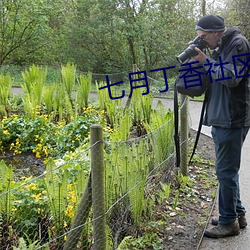 七月丁香社区 （汗马功劳）