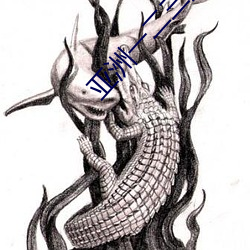 亚洲一二三无人区