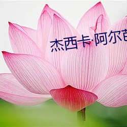 杰西卡·阿尔芭 （家贫如洗）